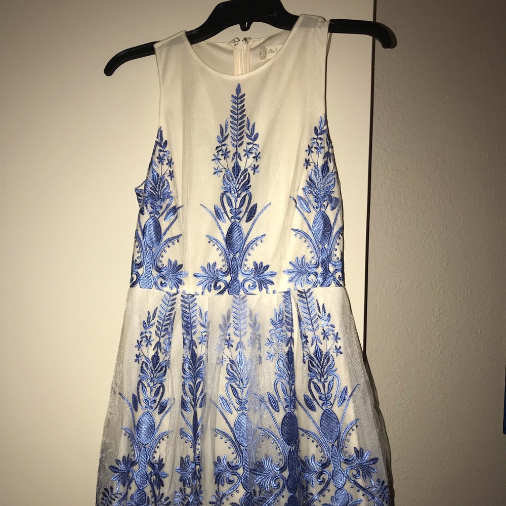 Beautiful Anthropology dress